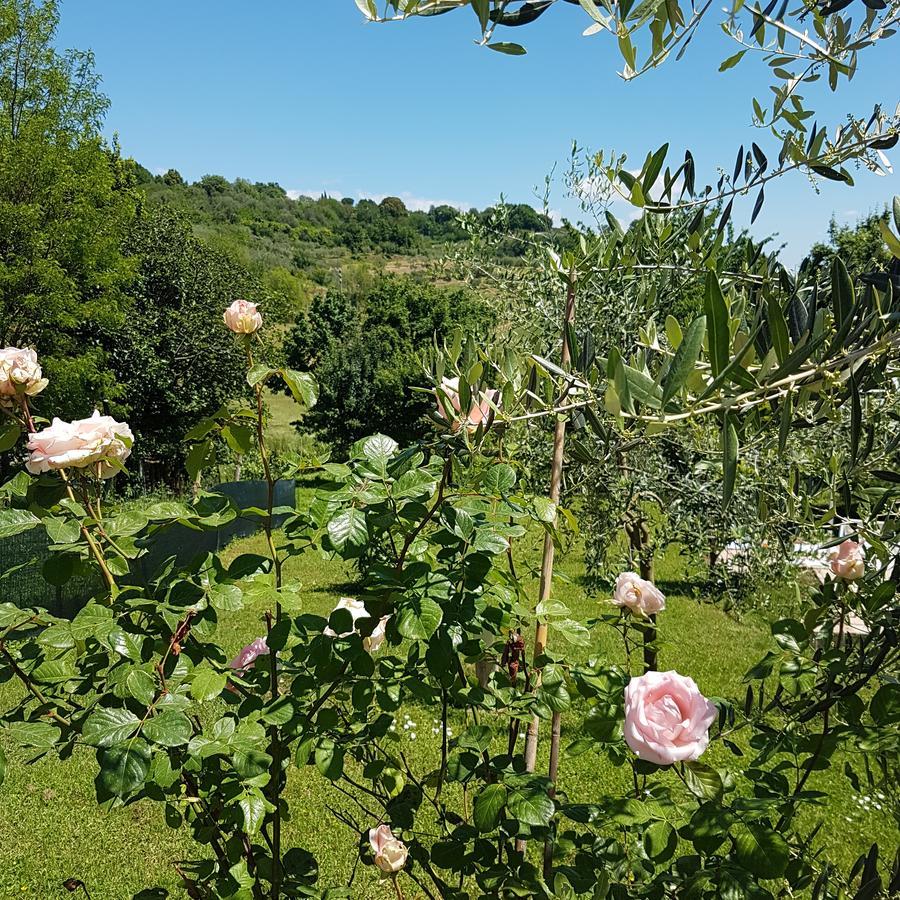 L'Albero Di Gameli Bed & Breakfast Chiusi Dış mekan fotoğraf