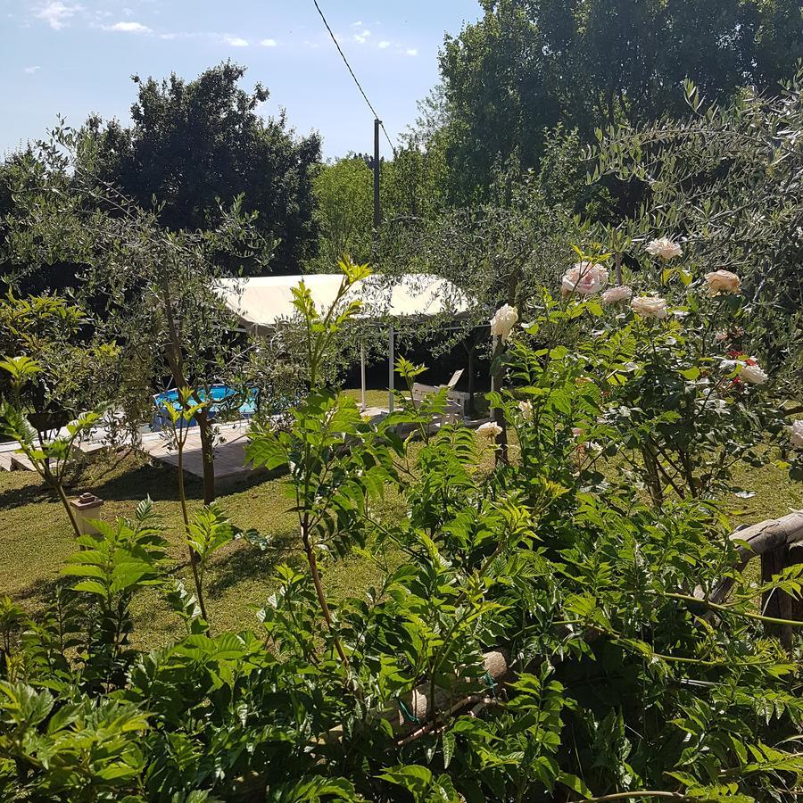 L'Albero Di Gameli Bed & Breakfast Chiusi Dış mekan fotoğraf