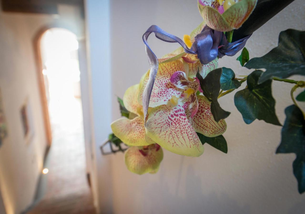 L'Albero Di Gameli Bed & Breakfast Chiusi Dış mekan fotoğraf